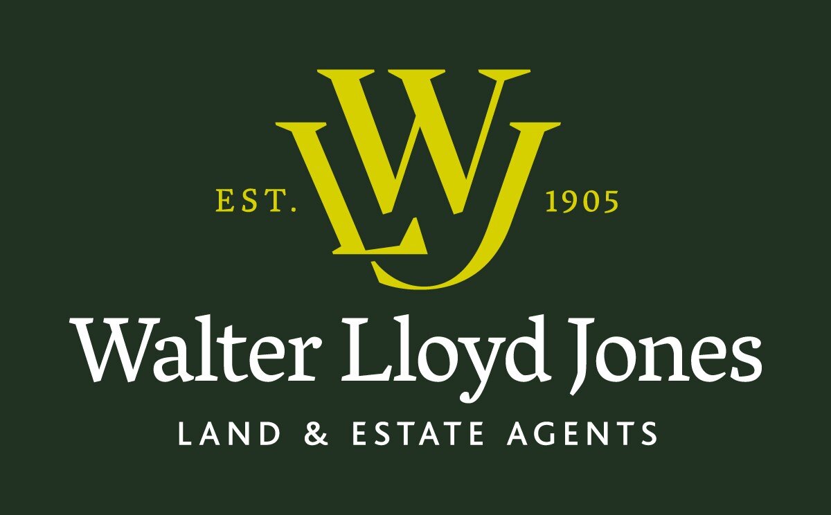 Walter Lloyd Jones & Co