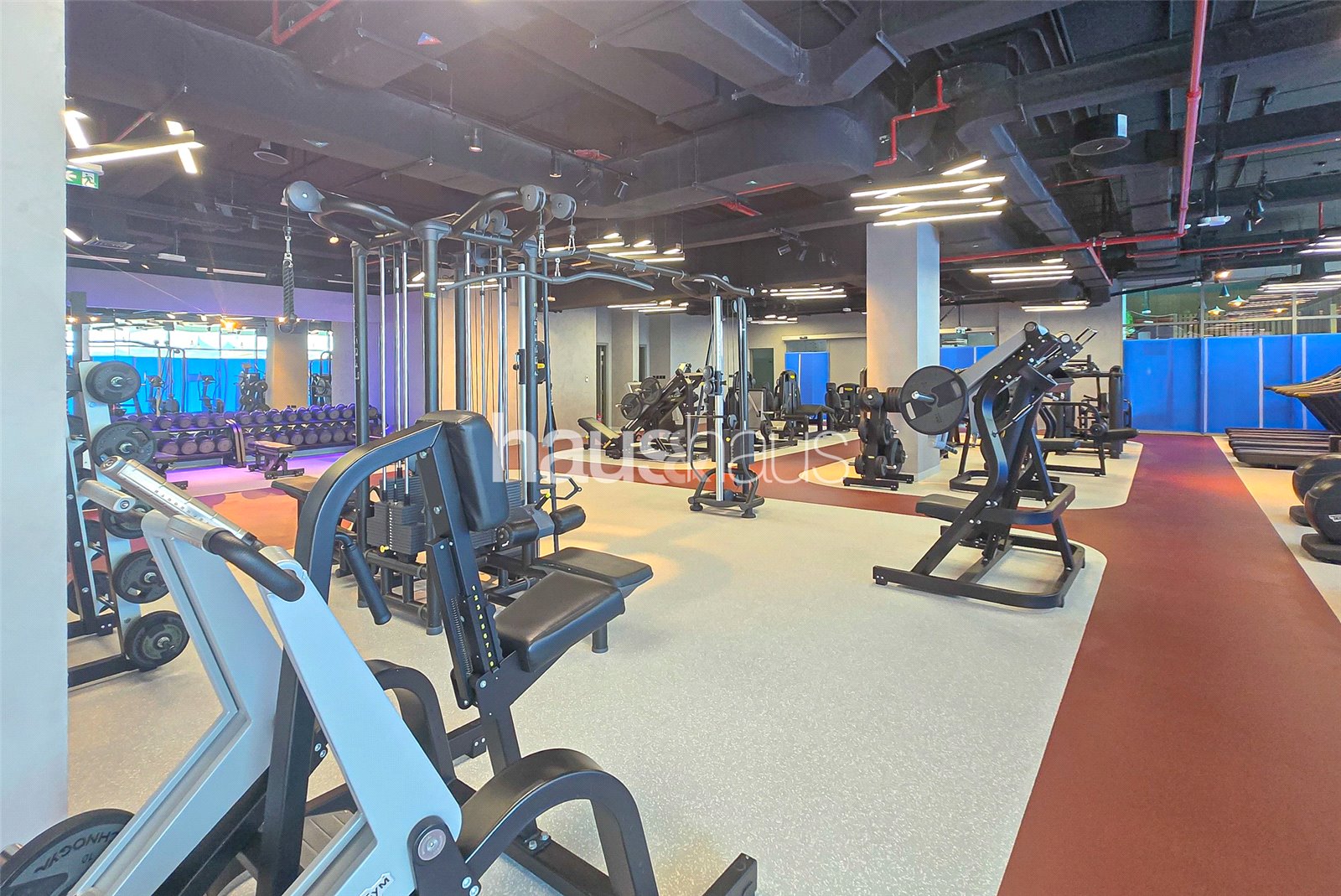 retail to rent - haus & haus