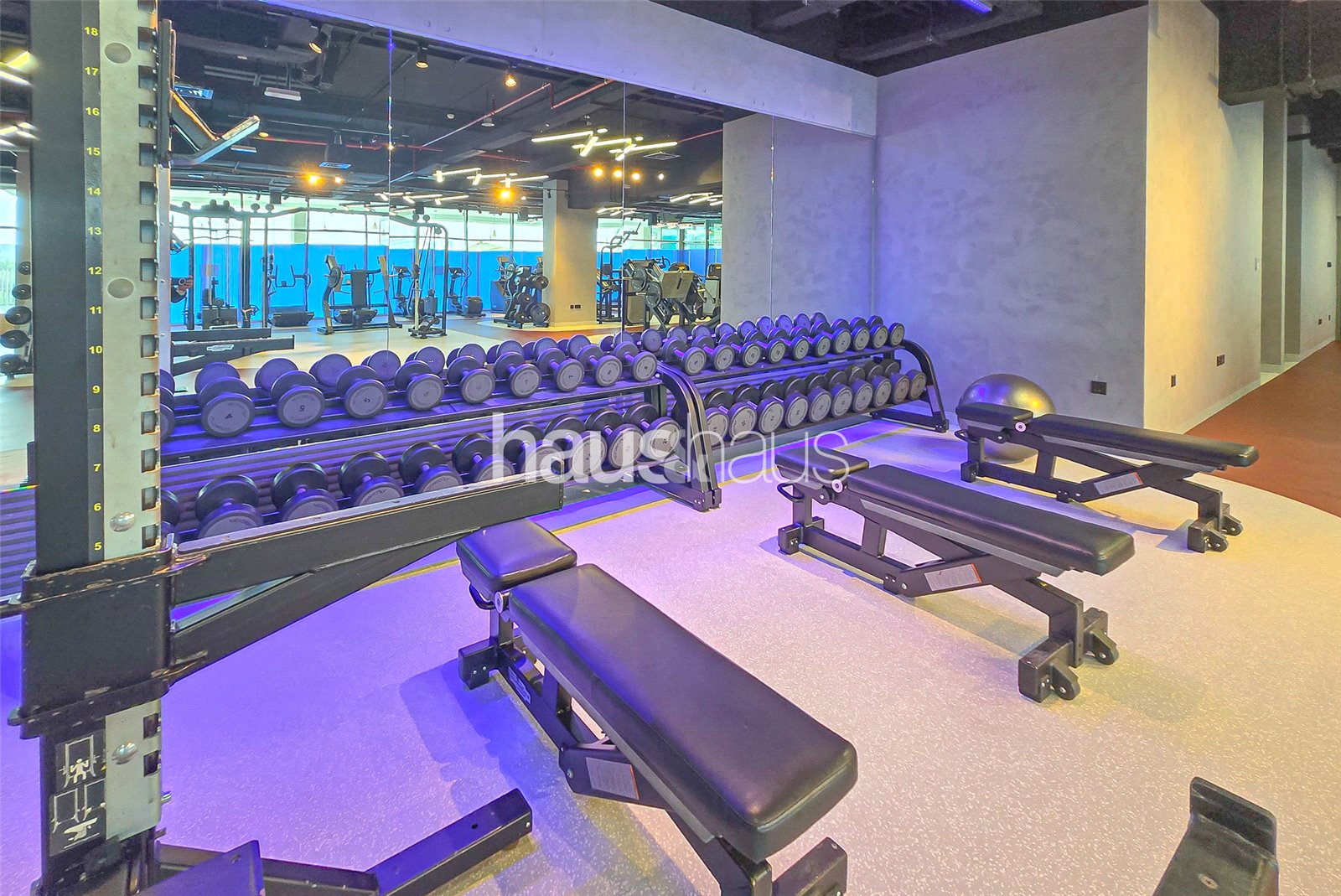retail to rent - haus & haus