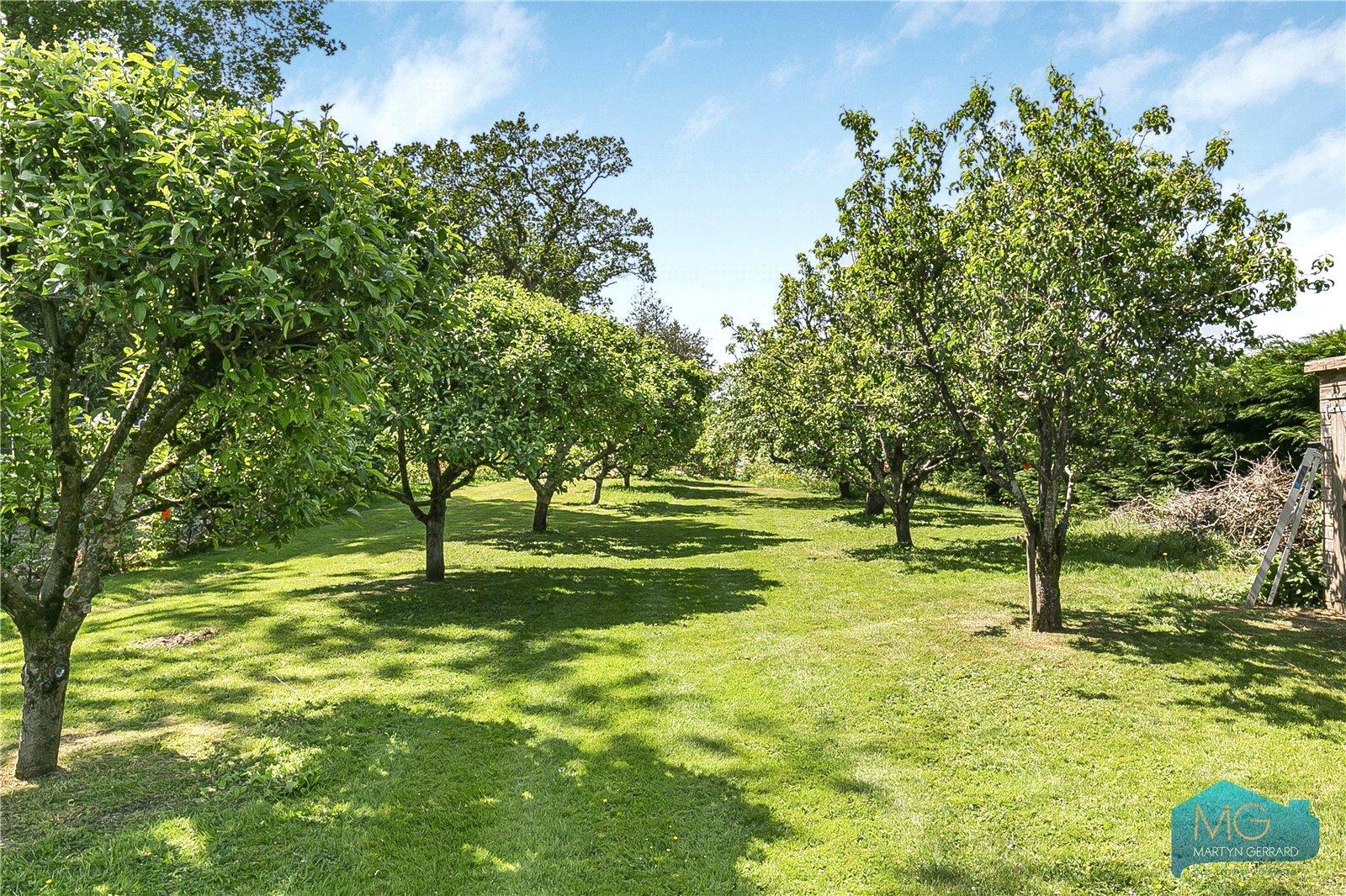 5 bedroom Semi-Detached House to rent - Martyn Gerrard