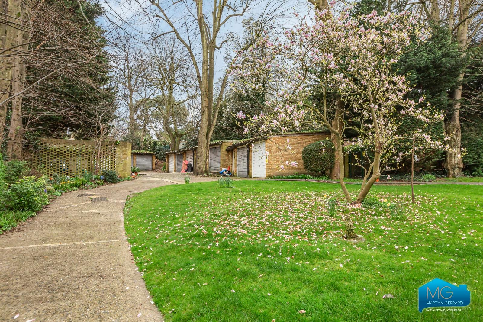 1 bedroom Ground Floor Flat to rent - Martyn Gerrard