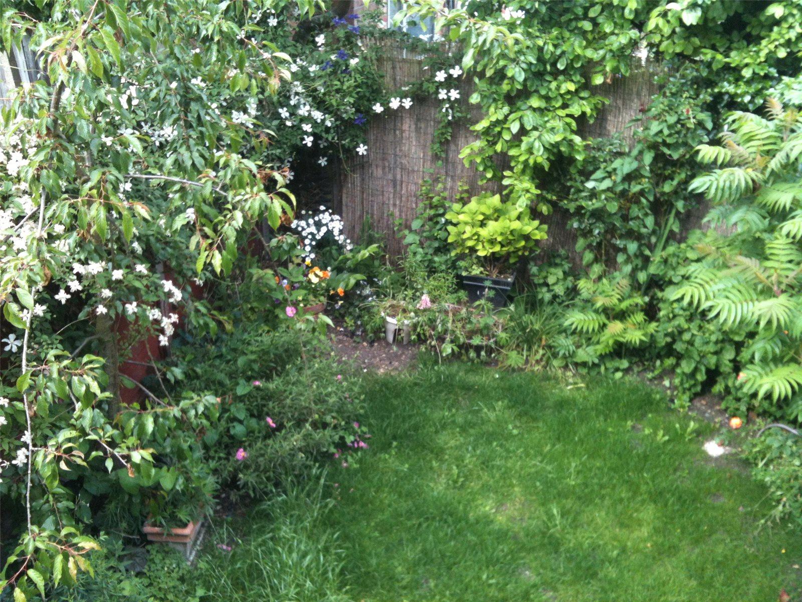 2 bedroom Maisonette to rent - Martyn Gerrard