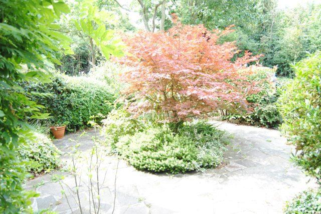 3 bedroom Semi-Detached House to rent - Martyn Gerrard