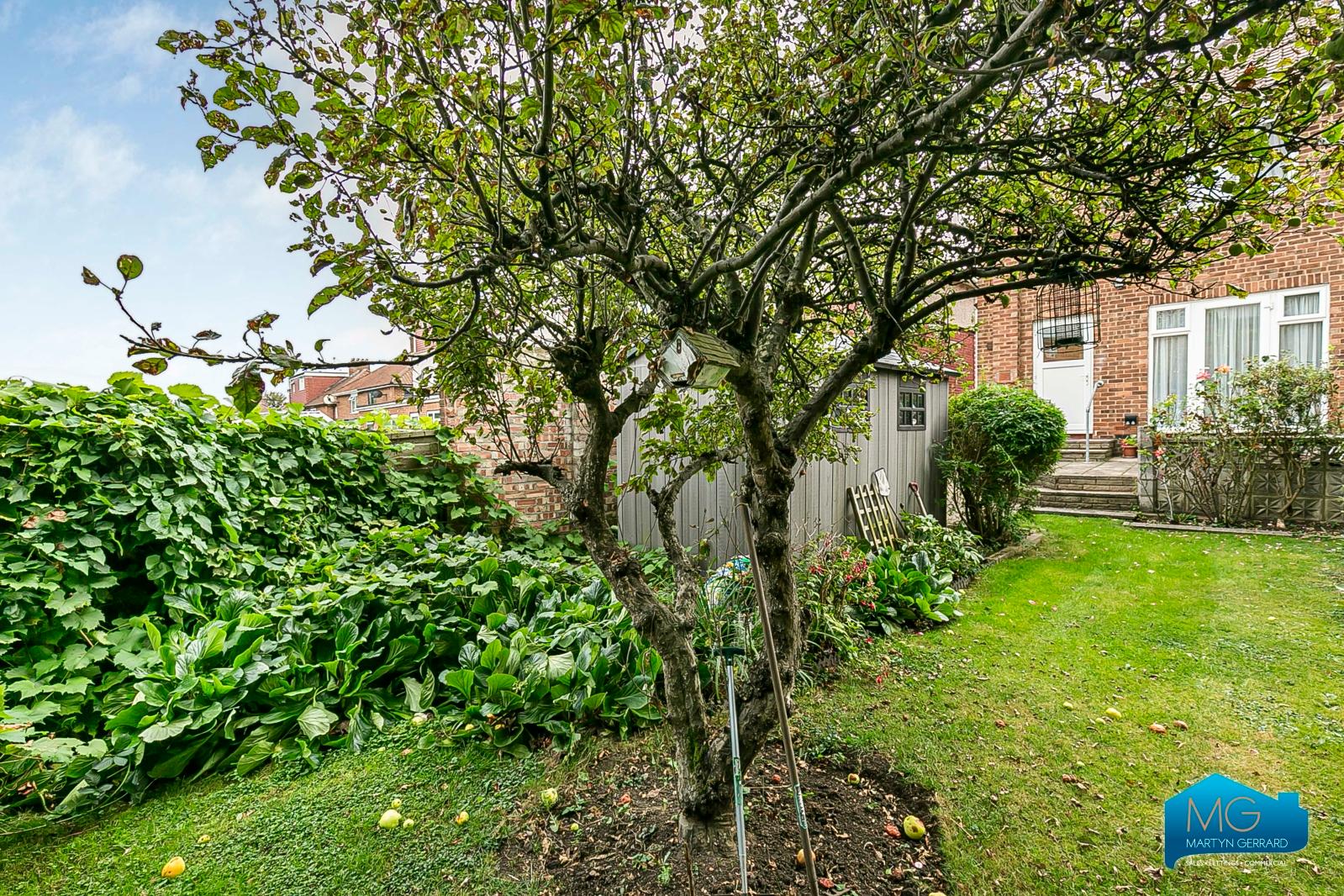 3 bedroom Semi-Detached House to rent - Martyn Gerrard
