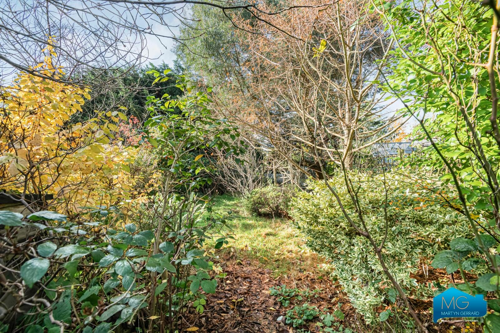 3 bedroom Semi-Detached House to rent - Martyn Gerrard