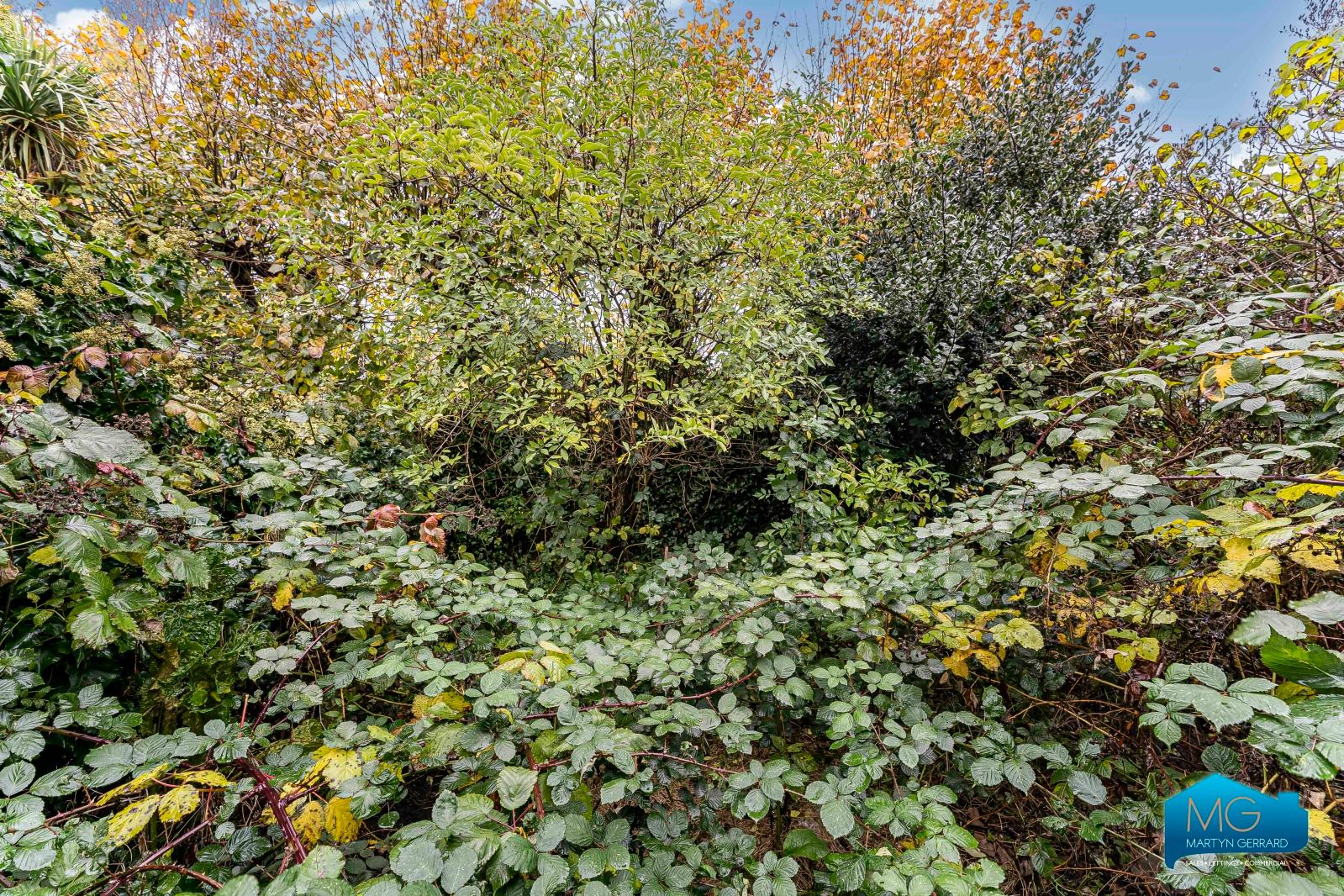 1 bedroom Ground Floor Flat to rent - Martyn Gerrard