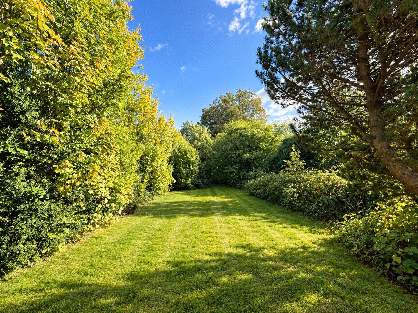 3 bedroom bungalow for sale in Rochester | Robinson Michael & Jackson