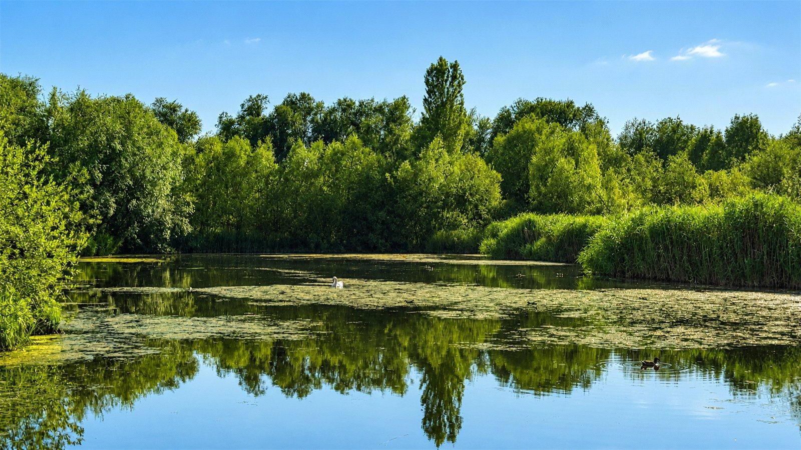 1 bedroom property for sale in London | Robinson Jackson