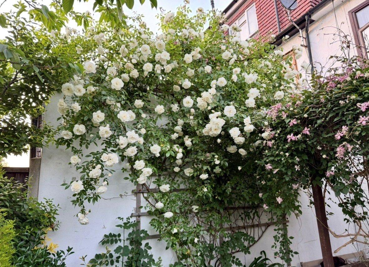 3 bedroom house for sale in Plumstead | Robinson Jackson