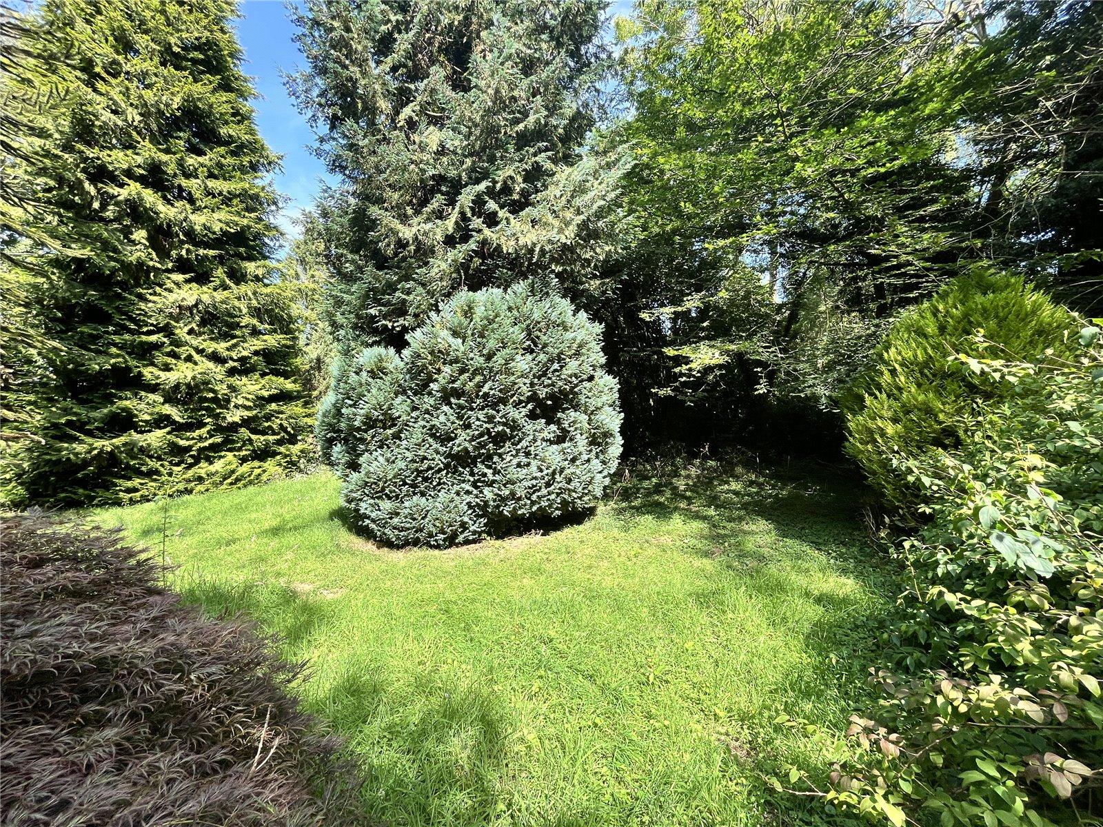 3 bedroom bungalow for sale in Newnham | Robinson Michael & Jackson
