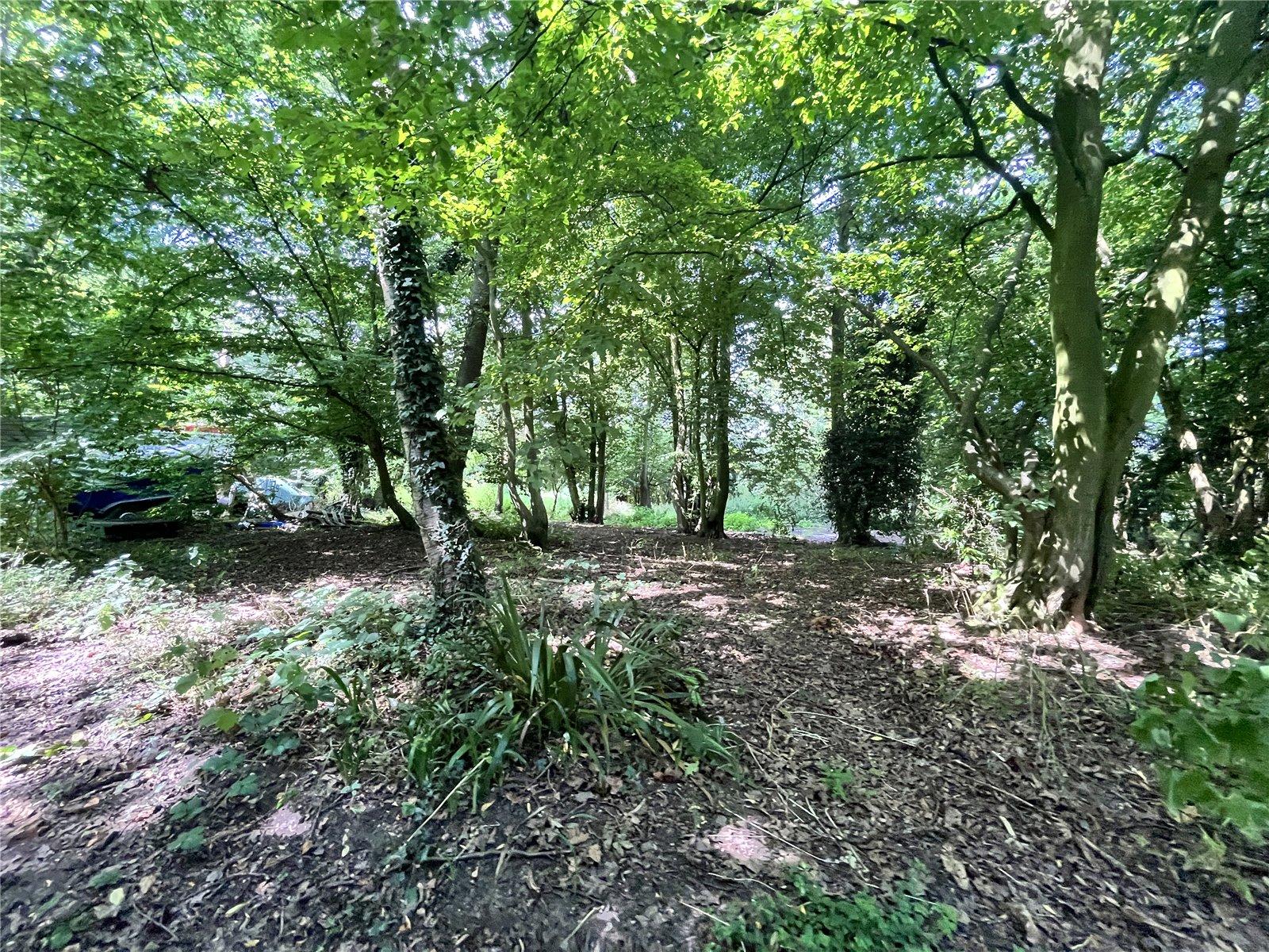 3 bedroom bungalow for sale in Newnham | Robinson Michael & Jackson