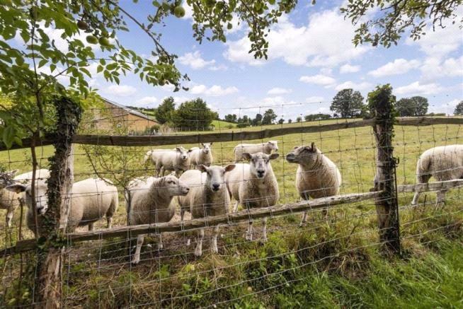 4 bedroom house for sale in Eynsford | Robinson Jackson