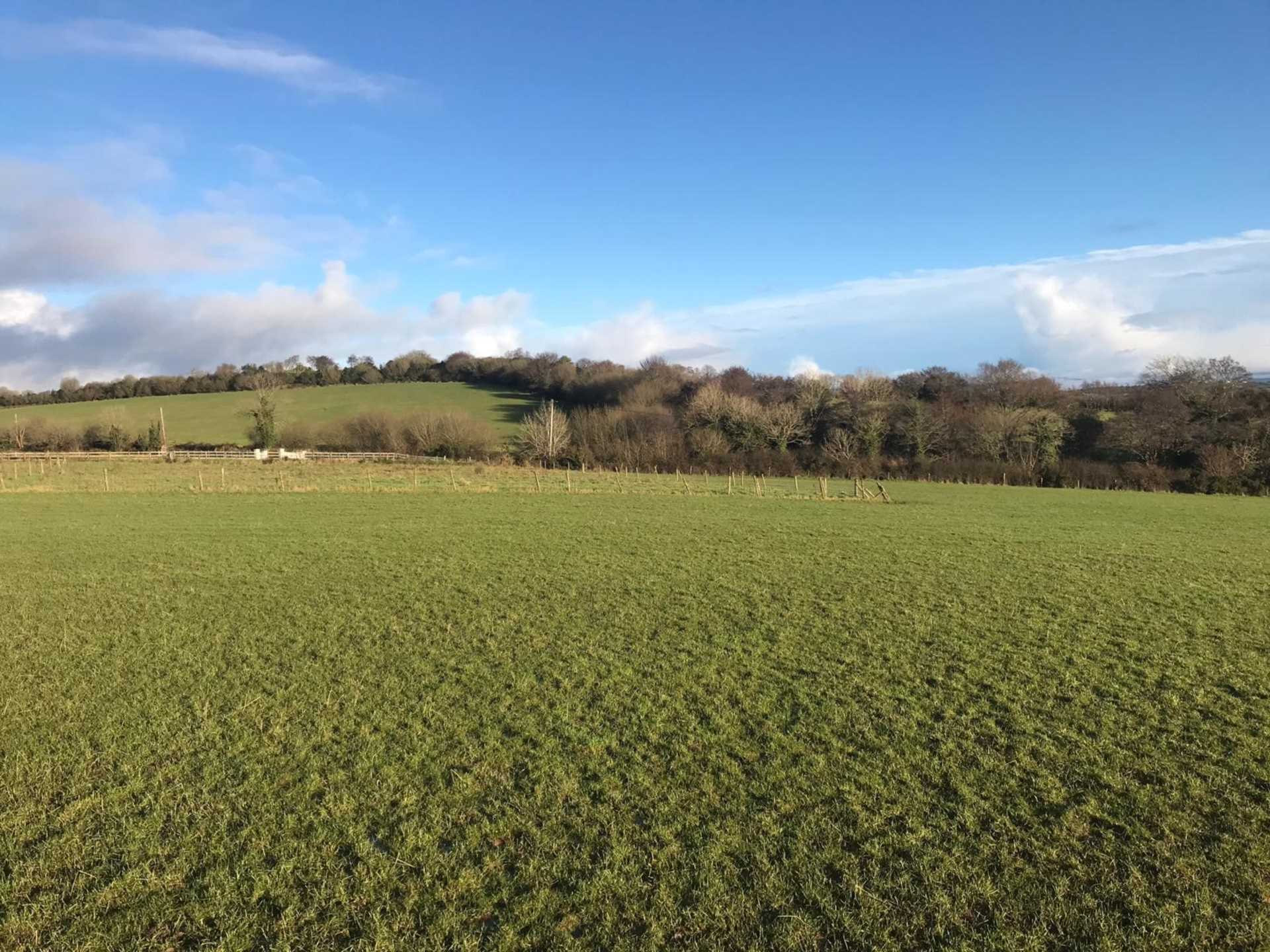 Castleshanaghan, Letterkenny, County Donegal - DNG Estate Agents