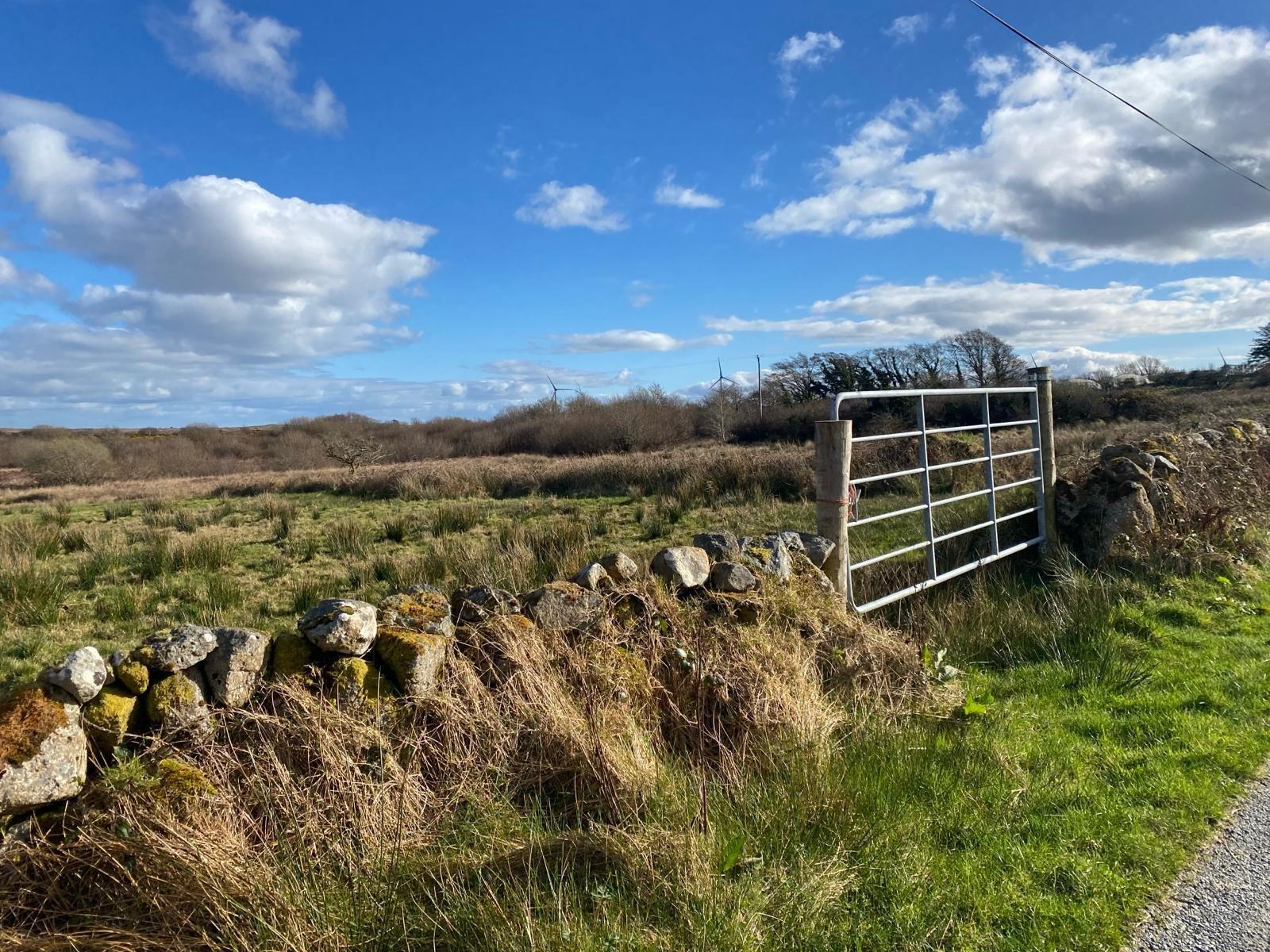 Loughwell, Moycullen, Co. Galway - DNG Estate Agents