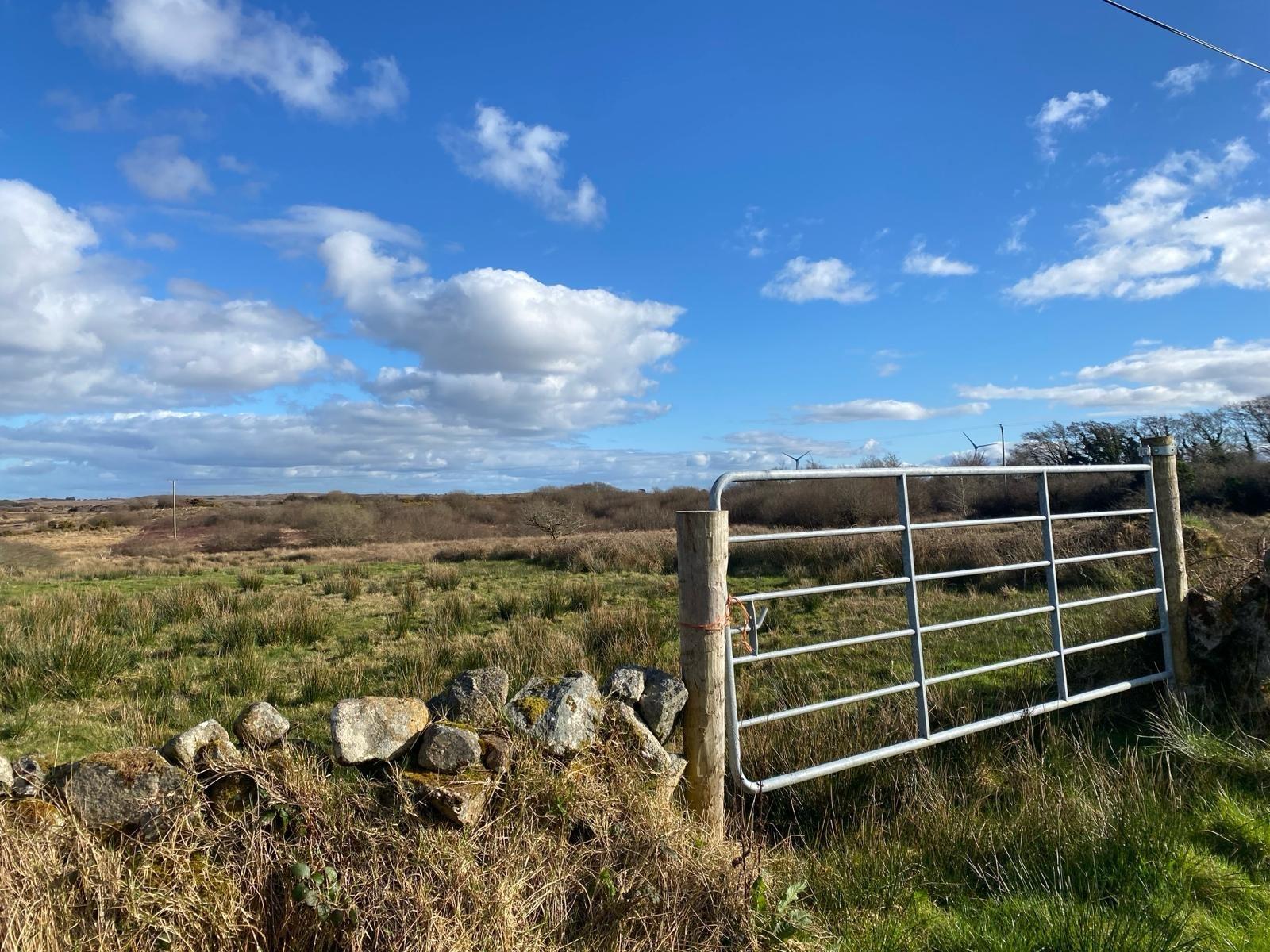 Loughwell, Moycullen, Co. Galway - DNG Estate Agents