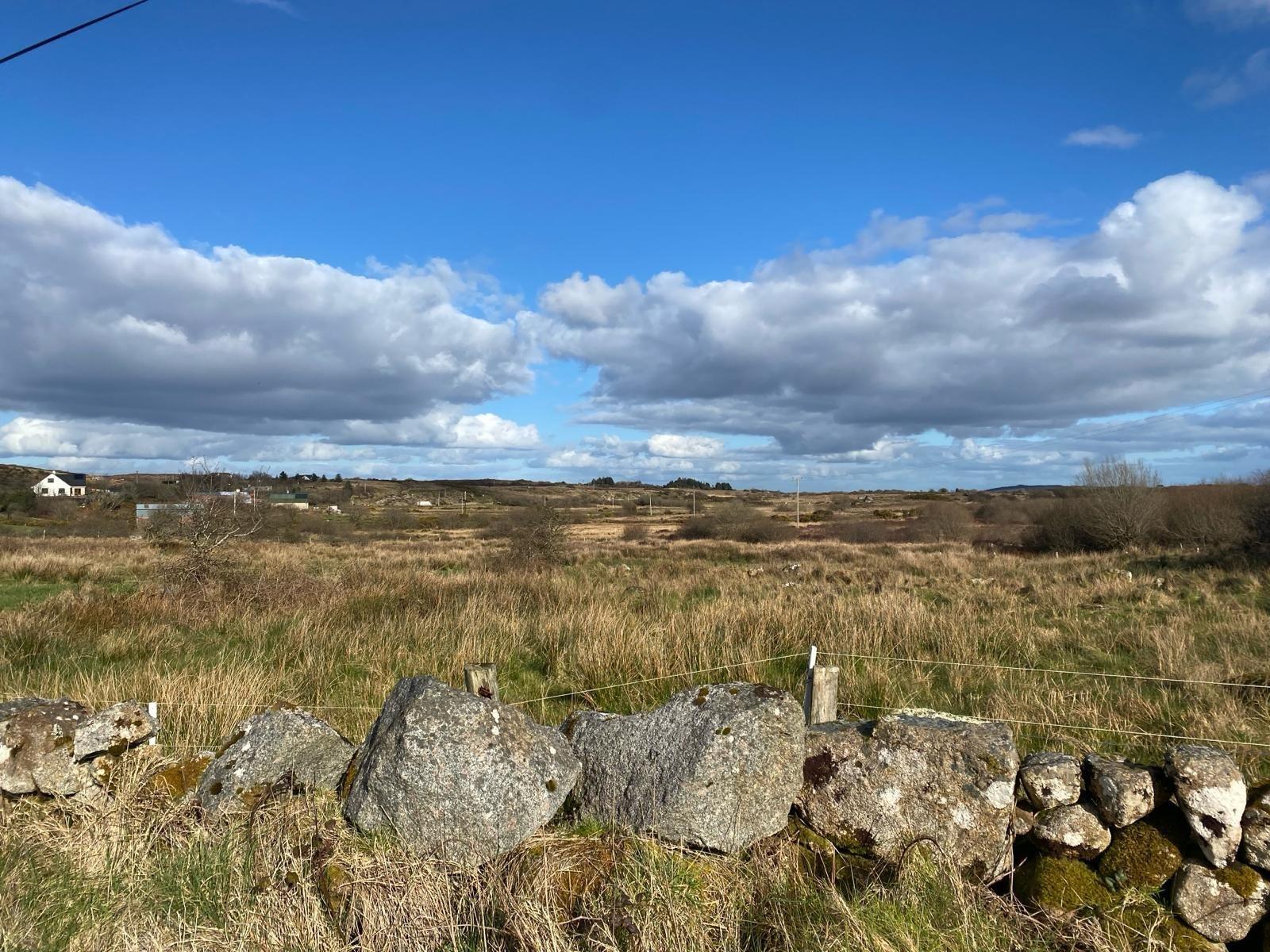 Loughwell, Moycullen, Co. Galway - DNG Estate Agents
