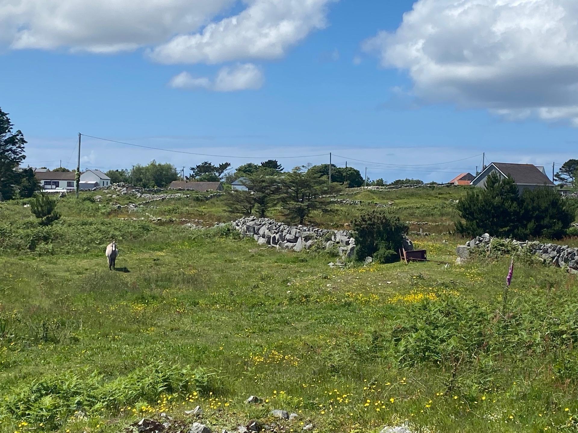 Doire Fhatharta Mor, Carraroe, Galway - DNG Estate Agents