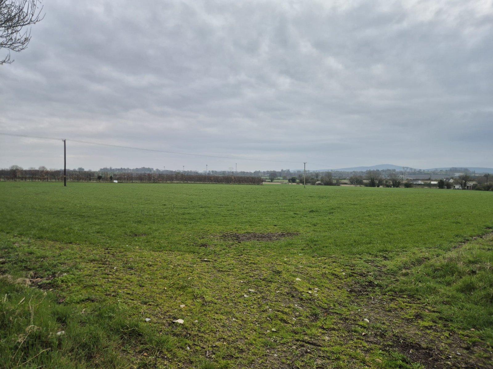 Development Land At Ardattin, Co. Carlow, R93 - DNG Estate Agents