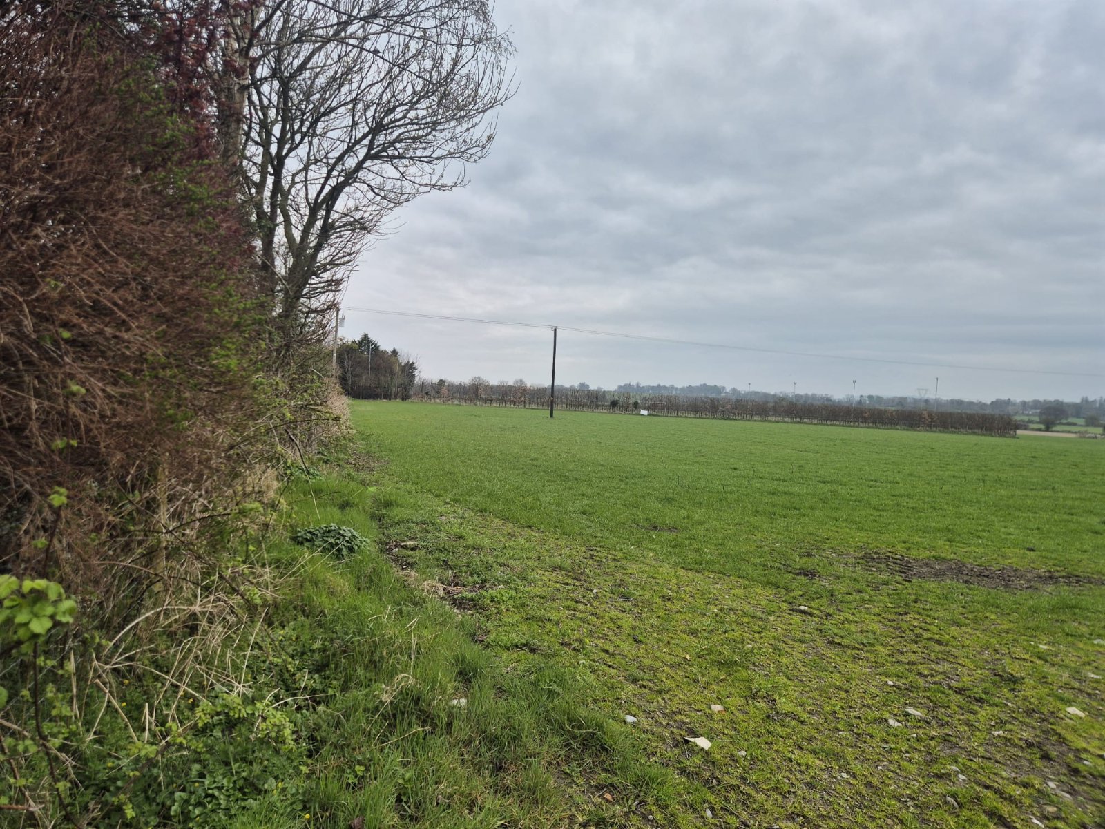 development plot for sale at Development Land At Ardattin, Co. Carlow, R93