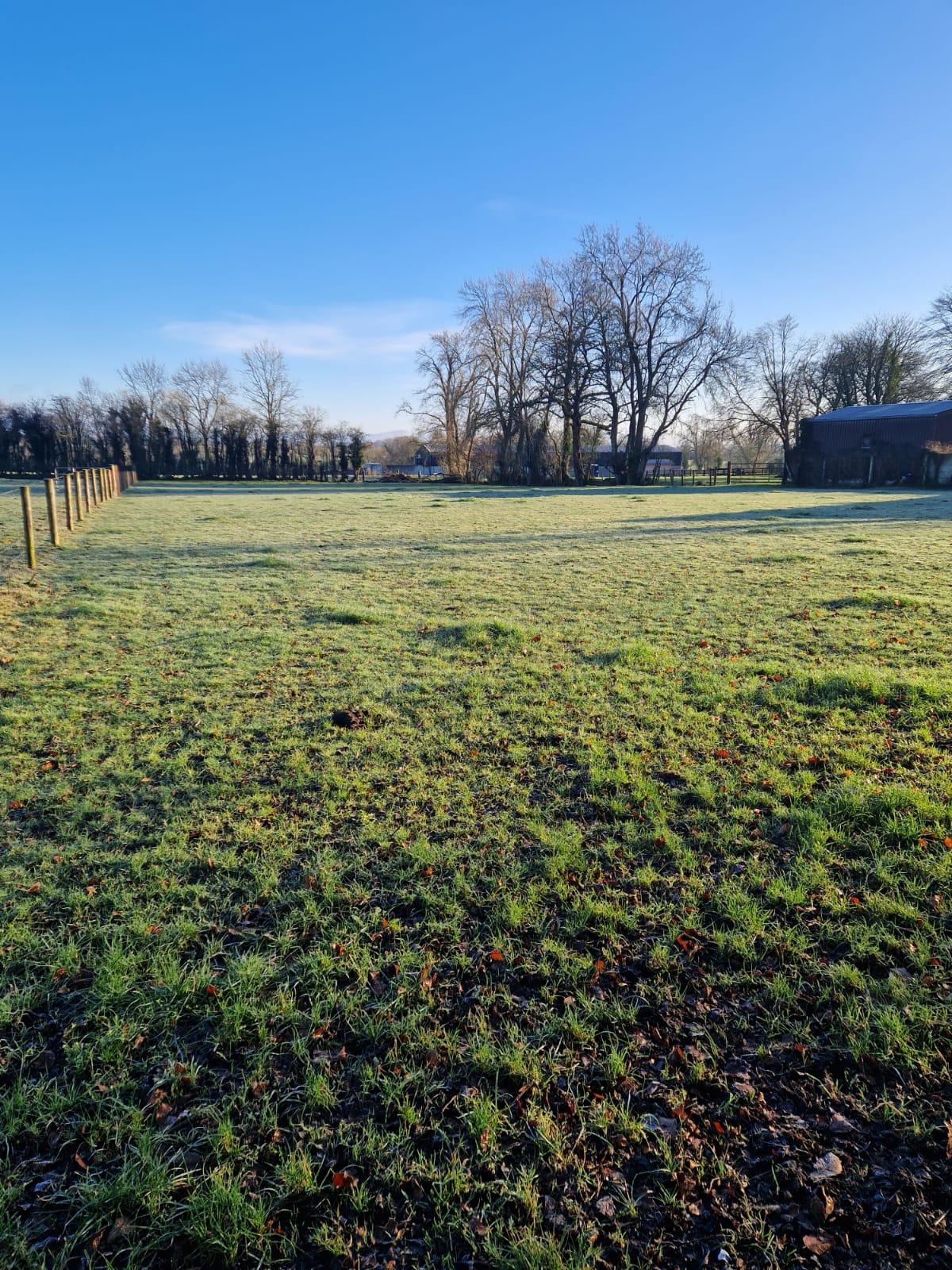 c.1.3 acre site @ Coppenagh, Tullow, Carlow - DNG Estate Agents