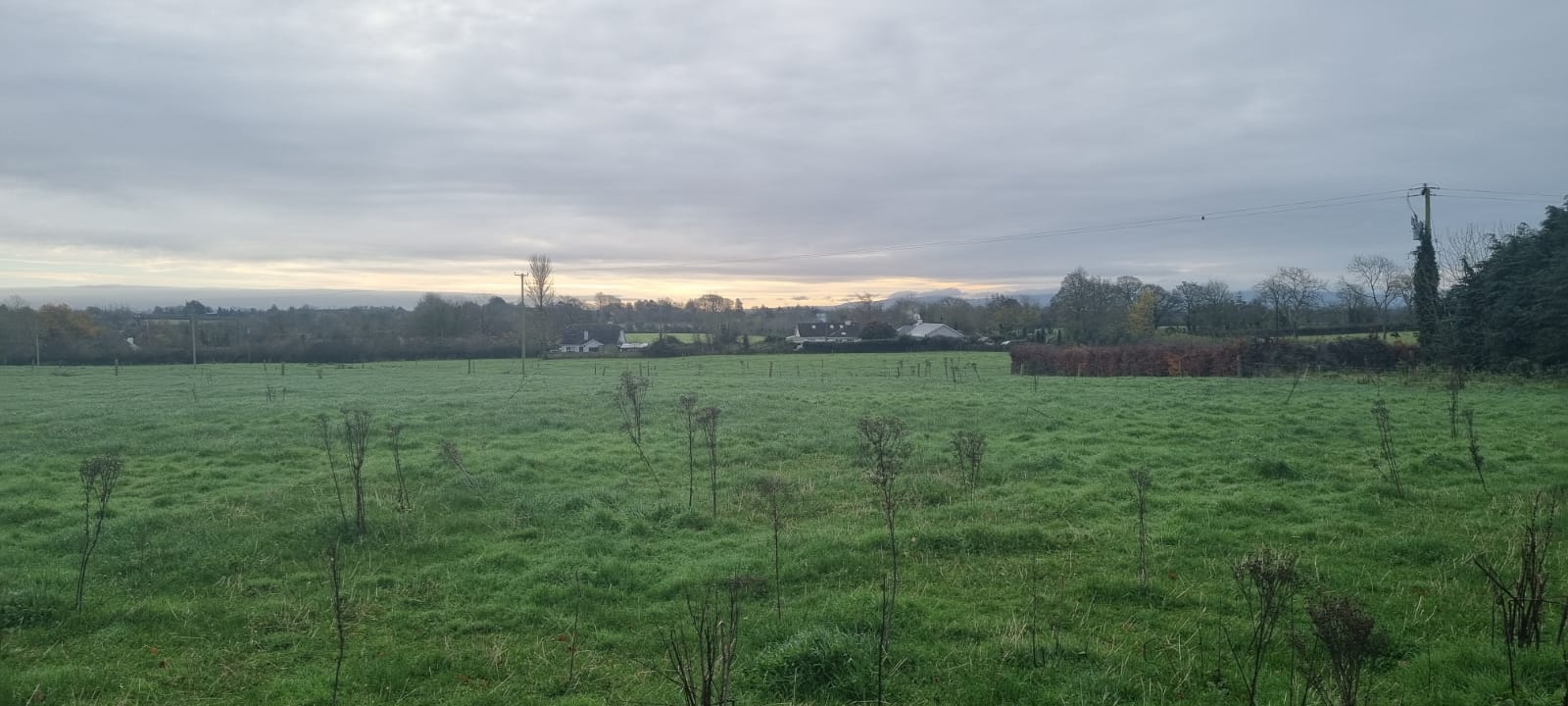 for sale at x 3.5 acres Sites SPP, Palatine, Co. Carlow, R93N7D2