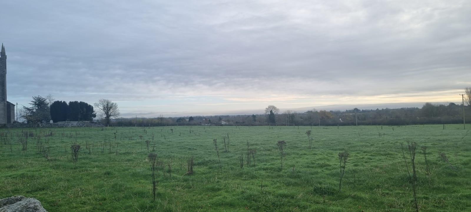 1 x 3.5 acres Sites SPP, Palatine, Co. Carlow, R93N7D2 - DNG Estate Agents