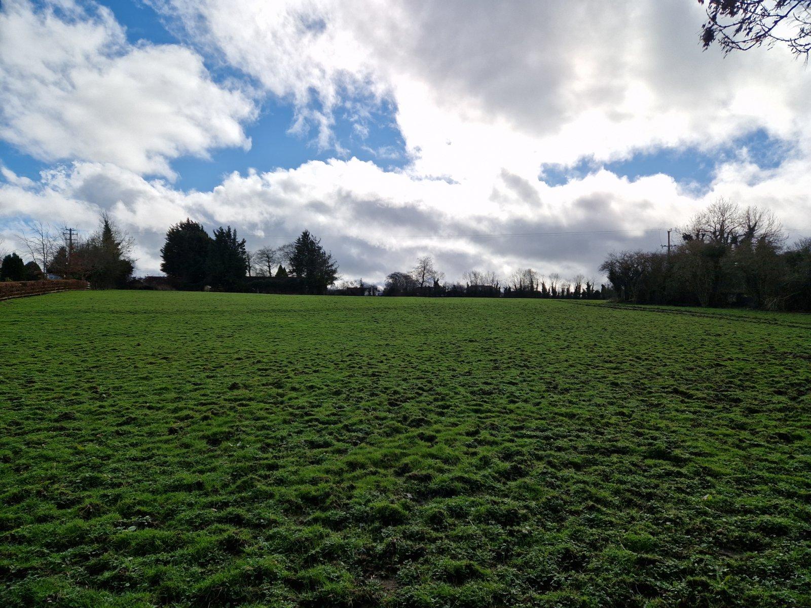 Graigues, Robertstown, Co. Kildare - DNG Estate Agents
