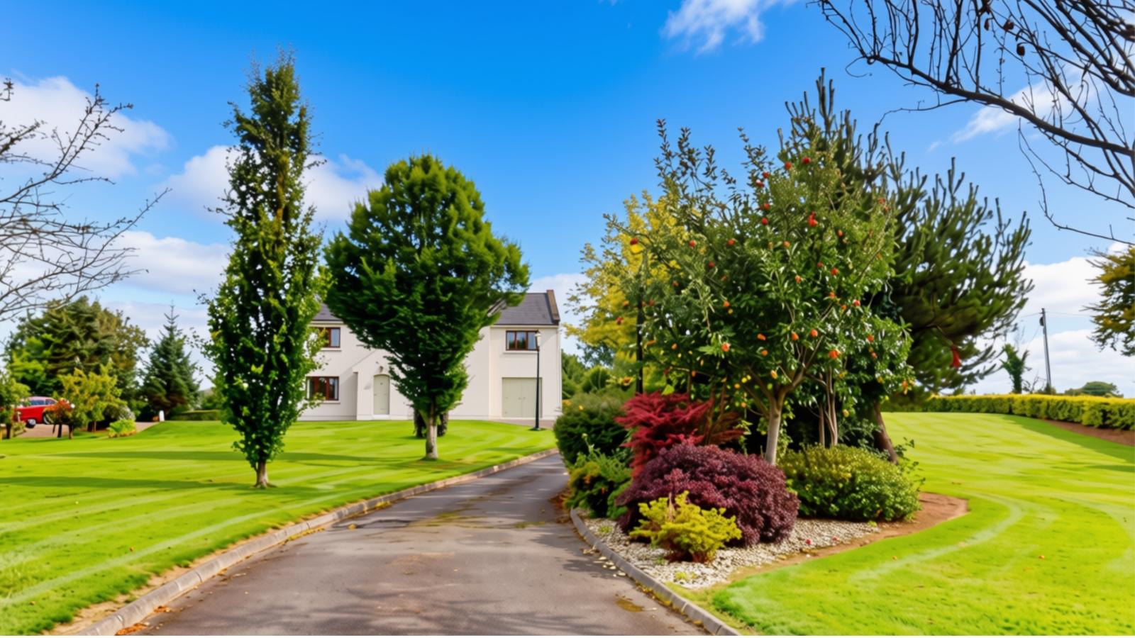 Tomlane, Oylegate, Co. Wexford, Y21KP80 - DNG Estate Agents