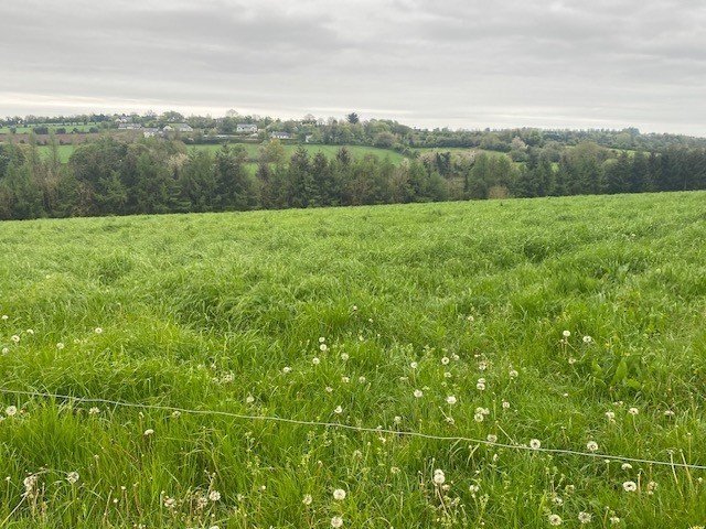 Site B At Ballyminane Mills, Enniscorthy, Co. Wexford - DNG Estate Agents