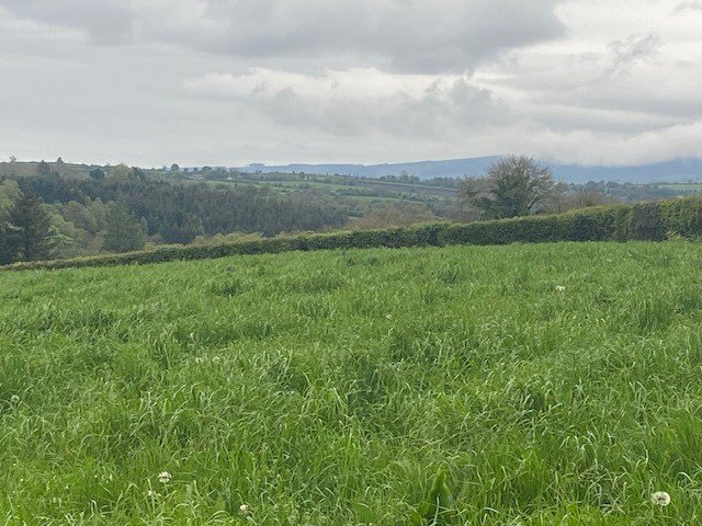 Site B At Ballyminane Mills, Enniscorthy, Co. Wexford - DNG Estate Agents
