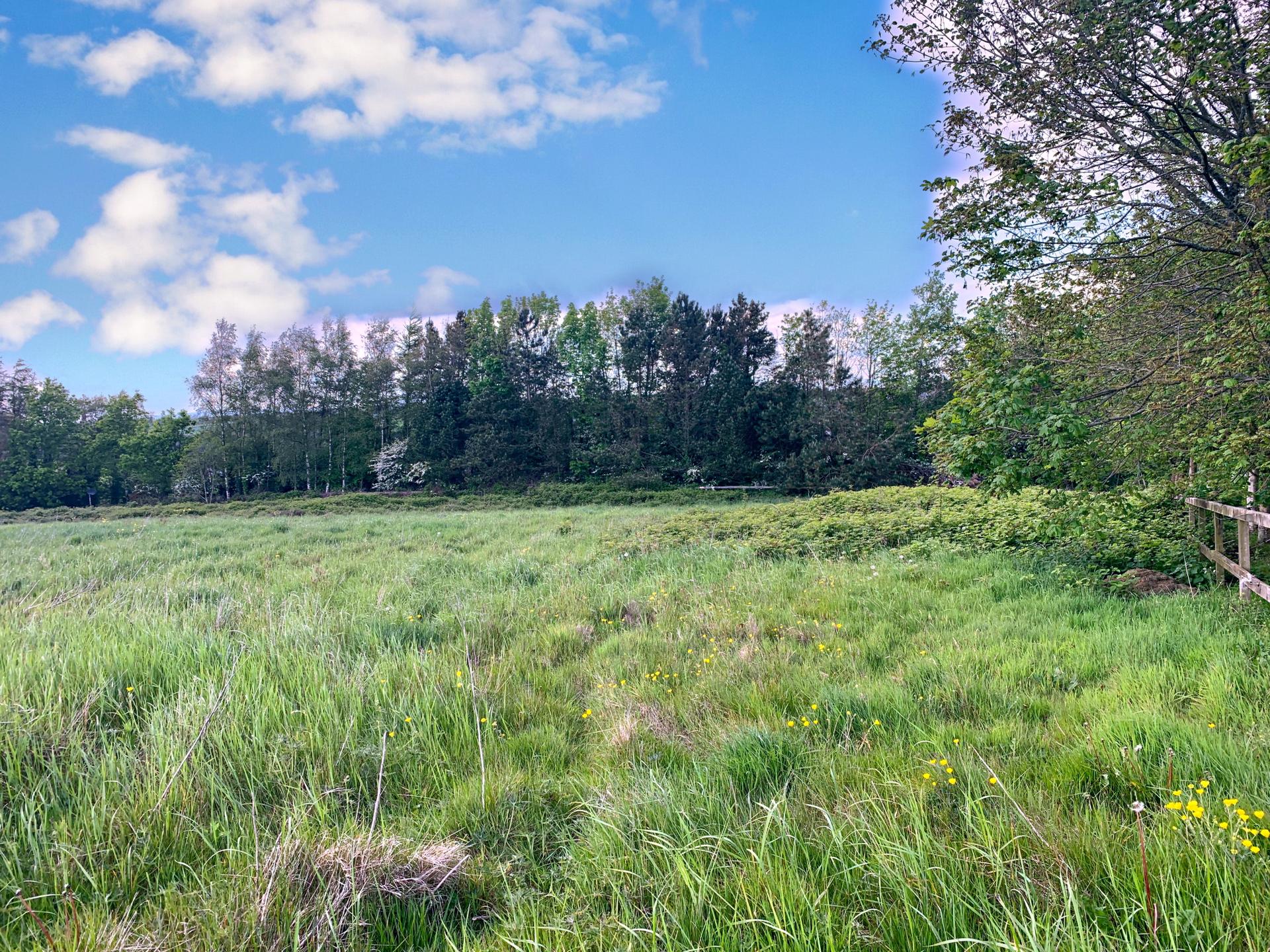 Ballyboggan, Park, Wexford Town, Y35XY01 - DNG Estate Agents