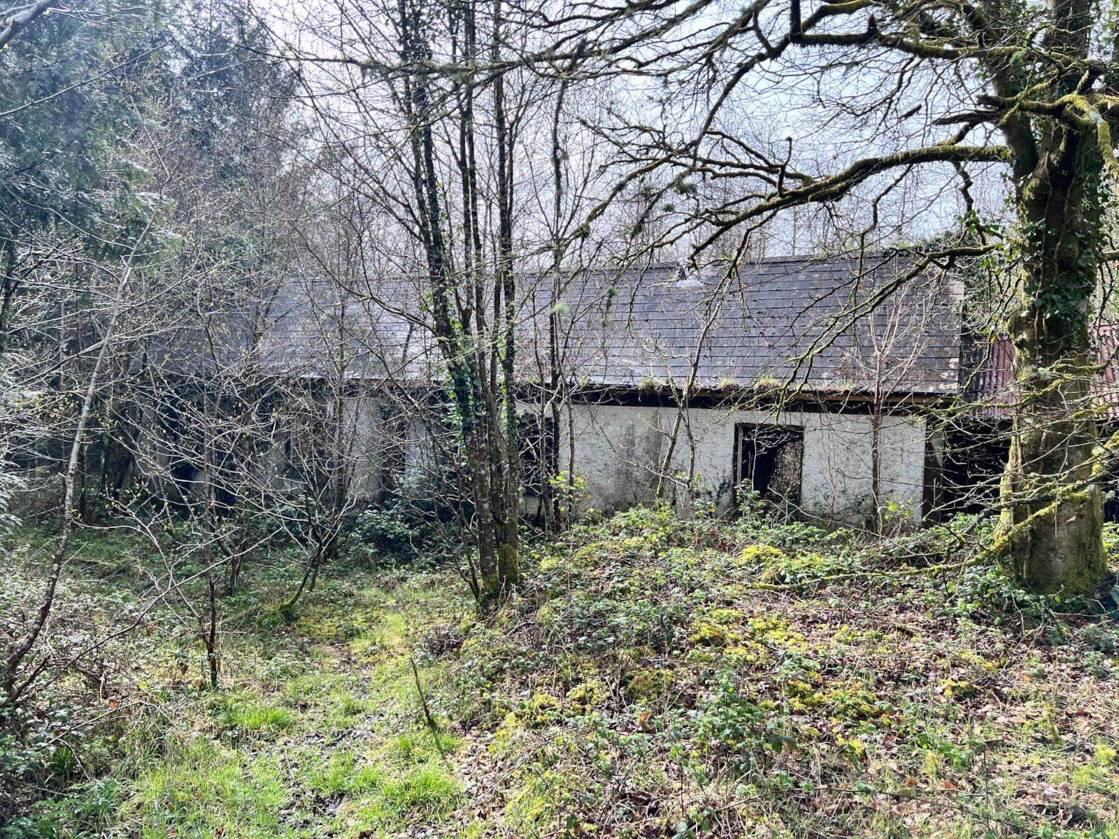 Mullaghycullen, Drumcong, Co. Leitrim, LM8255F (For ID), N41DY29 - DNG Estate Agents