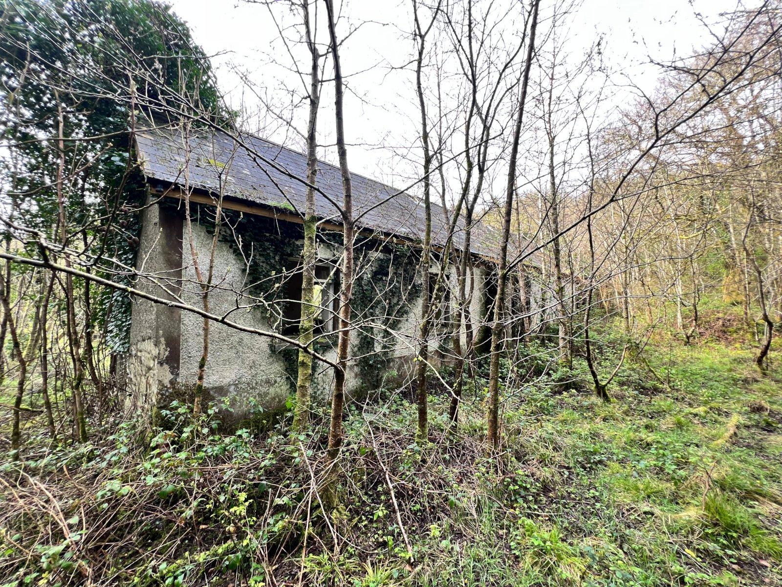 Mullaghycullen, Drumcong, Co. Leitrim, LM8255F (For ID), N41DY29 - DNG Estate Agents