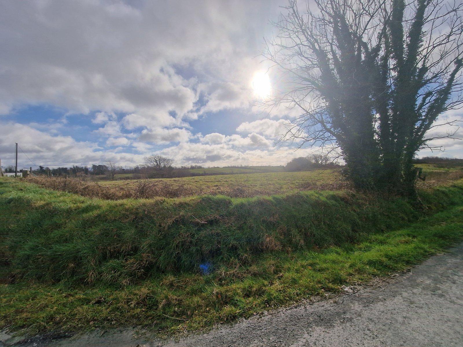 Site 2 Derryguiha, Kilmurry McMahon, Kilrush, Co. Clare - DNG Estate Agents