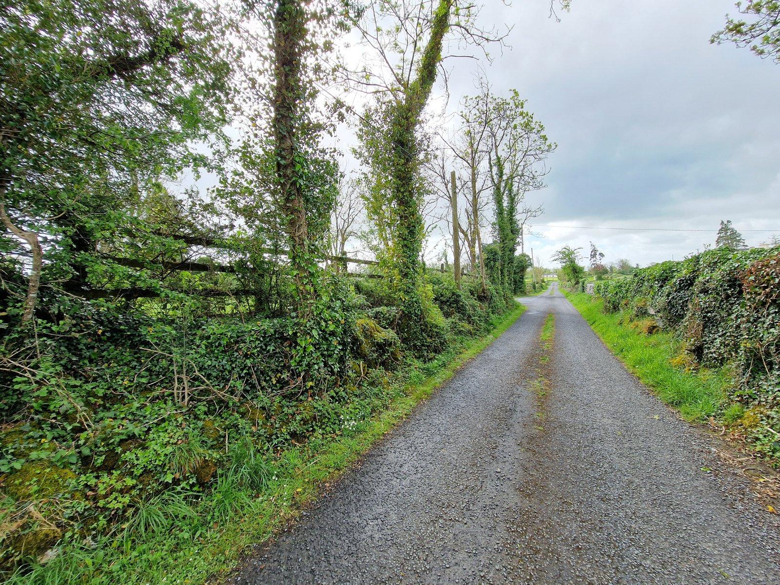 Ballyogan Land, Barefield, Ennis, Co. Clare - DNG Estate Agents