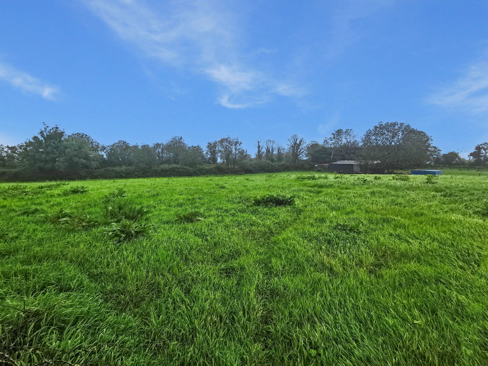 Circa 1.5 Acre Site, Cliften, Corofin, Co. Clare - DNG Estate Agents