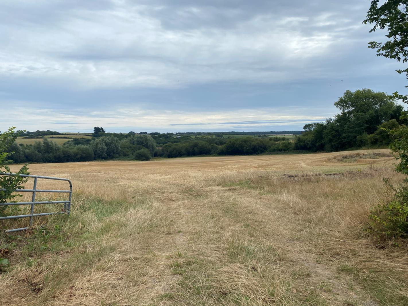Ballinacoola More, Curracloe, Co. Wexford - DNG Estate Agents
