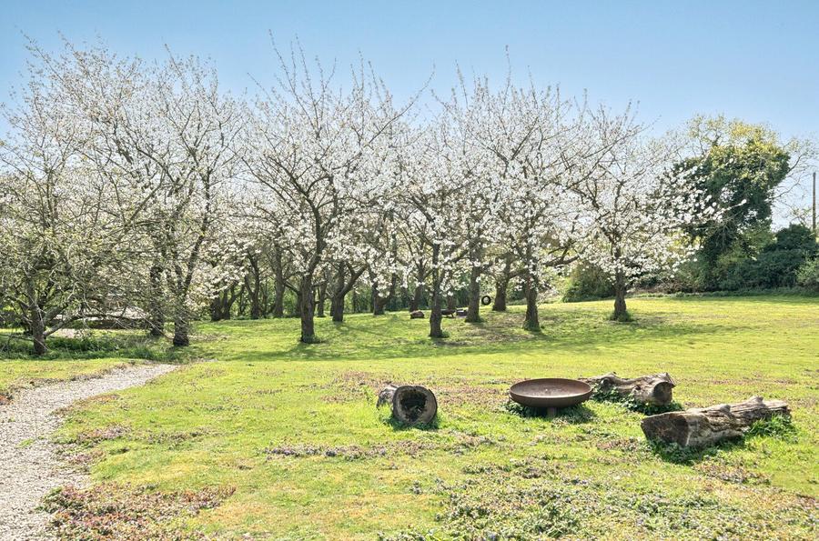 Cellar Hill, Lynsted, Sittingbourne, Kent, ME9, 3509, image-9 - Quealy & Co