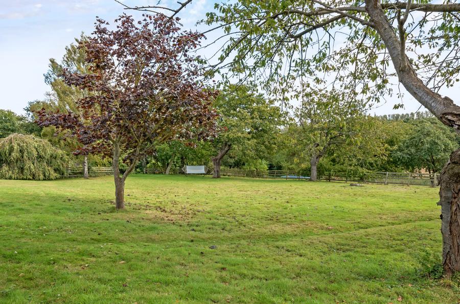 Cellar Hill, Lynsted, Sittingbourne, Kent, ME9, 3509, image-51 - Quealy & Co
