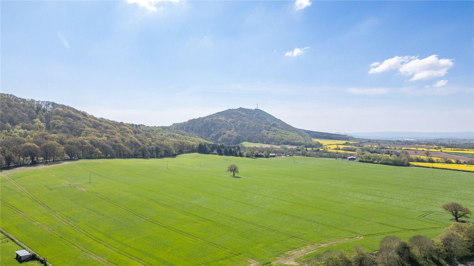 Hampton Hill, Wellington, Telford, Shropshire, TF1 - DB Roberts