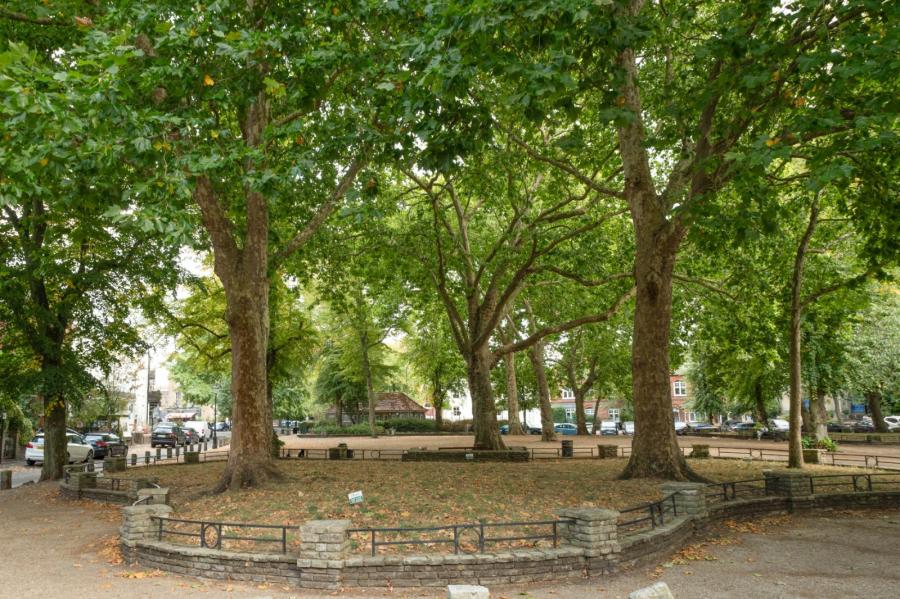 2 bedroom Flat to rent in Highgate West Hill-view17