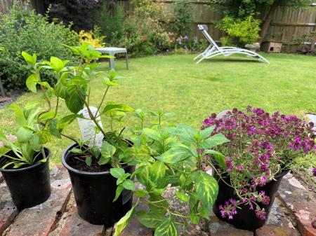 4 bedroom Detached house for sale in Brickfields Close, Lychpit, Basingstoke, RG24