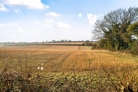 5 bedroom Detached house for sale in St Michaels Close, North Waltham, RG25