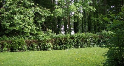 1 bedroom Flat to let in Stranmillis Court, Belfast, BT9