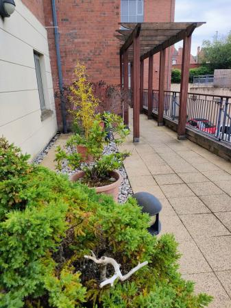1 bedroom Flat to let in 2A Ardmore Avenue, Ormeau Road, Belfast, BT7