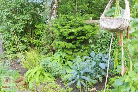 1 bedroom Property for sale in Back Atkinson Street, Colne, BB8