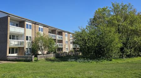 Edgecombe, Arbury, Cambridge, CB4