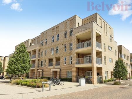 Falmouth Avenue, Cambridge, CB3