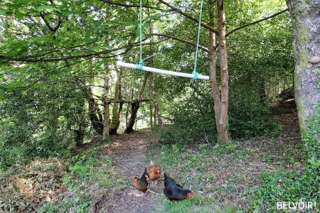 1 bedroom Detached house for sale in Heatherview Road, Pontypridd, CF37