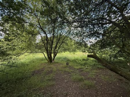 1 bedroom Plot for sale in North side of A4093, Tonyrefail, CF39